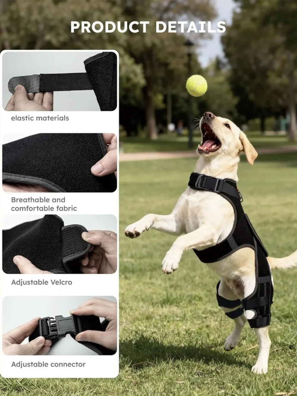 Dog Knee Brace for Torn ACL/CCL Hind Leg